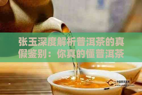 张玉深度解析普洱茶的真假鉴别：你真的懂普洱茶吗？