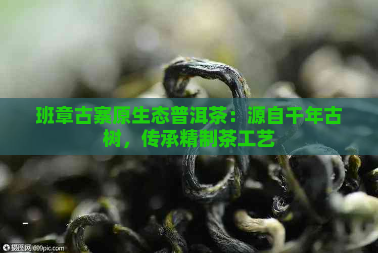 班章古寨原生态普洱茶：源自千年古树，传承精制茶工艺