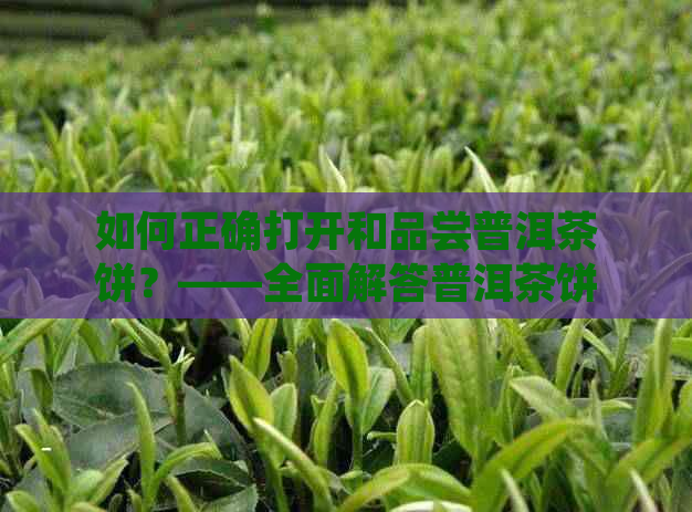 如何正确打开和品尝普洱茶饼？——全面解答普洱茶饼的开饼与品鉴技巧