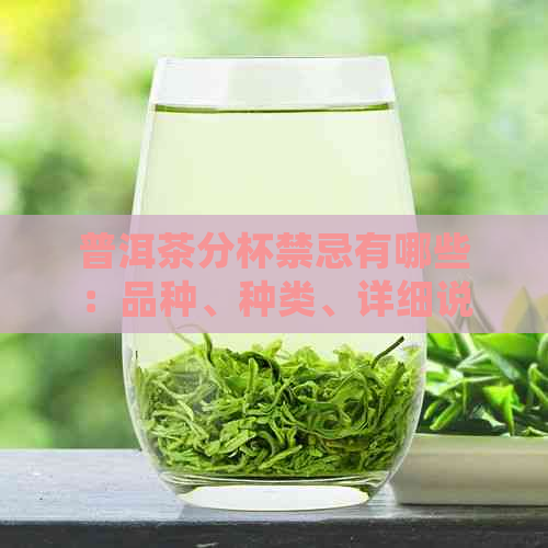 普洱茶分杯禁忌有哪些：品种、种类、详细说明