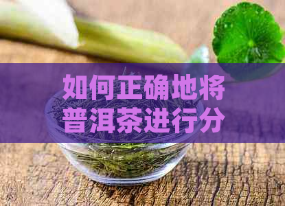 如何正确地将普洱茶进行分级与保存：一份详尽指南