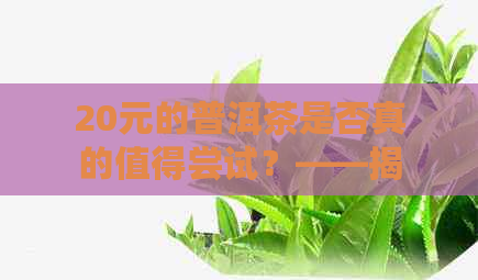 20元的普洱茶是否真的值得尝试？——揭示价格与品质的关系