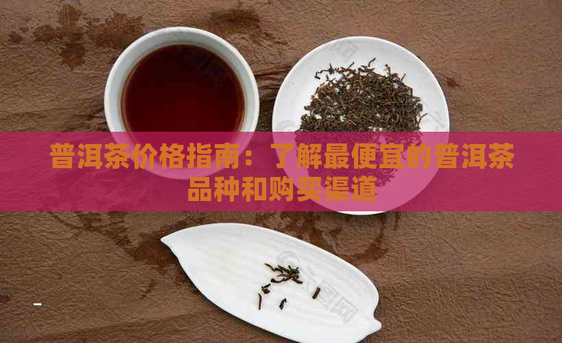 普洱茶价格指南：了解更便宜的普洱茶品种和购买渠道