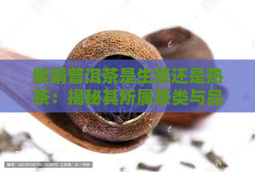 紫娟普洱茶是生茶还是熟茶：揭秘其所属茶类与品质特点