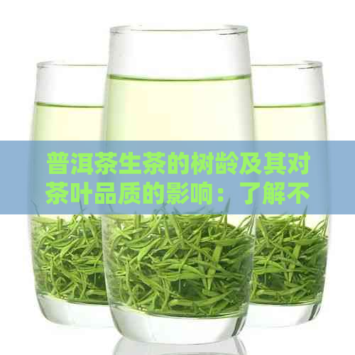 普洱茶生茶的树龄及其对茶叶品质的影响：了解不同年代的茶叶特点