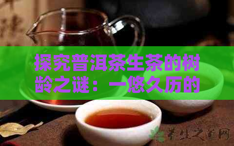 探究普洱茶生茶的树龄之谜：一悠久历的传承与创新