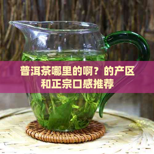 普洱茶哪里的啊？的产区和正宗口感推荐