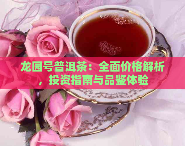 龙园号普洱茶：全面价格解析，投资指南与品鉴体验