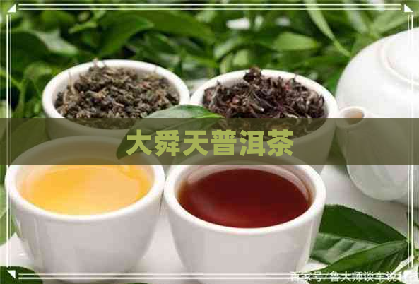 大舜天普洱茶