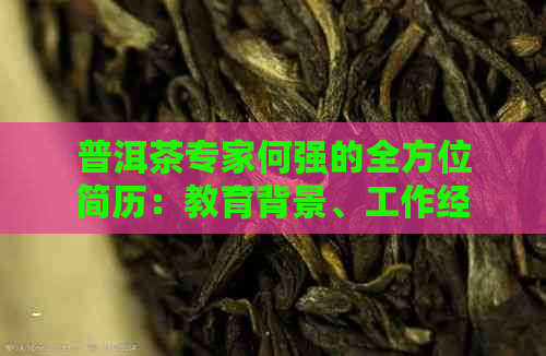 普洱茶专家何强的全方位简历：教育背景、工作经历、专业技能和成就一览