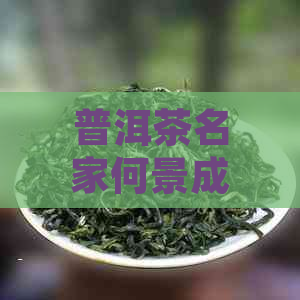 普洱茶名家何景成与何仕华：探索普洱茶文化精髓