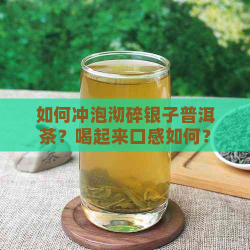 如何冲泡沏碎银子普洱茶？喝起来口感如何？有什么需要注意的事项？