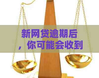 新网贷逾期后，你可能会收到哪些与还款相关的信件或物品？