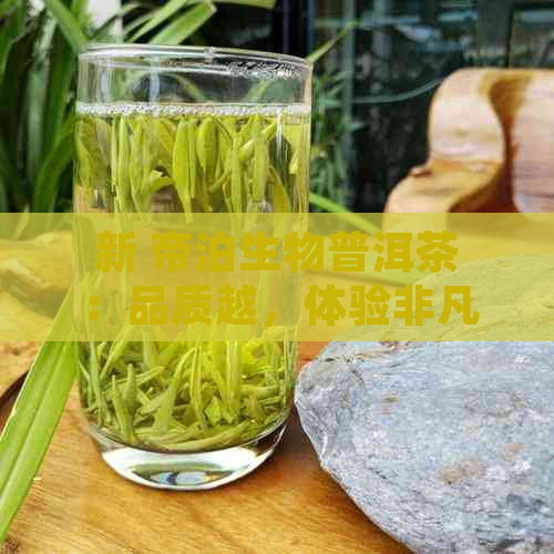 新 帝泊生物普洱茶：品质越，体验非凡，值得品鉴！