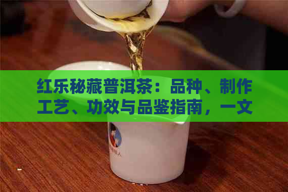 红乐秘藏普洱茶：品种、制作工艺、功效与品鉴指南，一文解决您的所有疑问