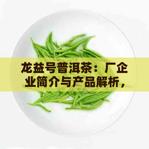 龙益号普洱茶：厂企业简介与产品解析，大益普洱茶龙印价格一览