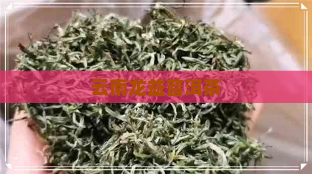 云南龙益普洱茶