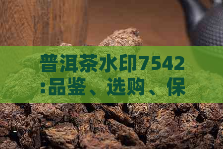 普洱茶水印7542:品鉴、选购、保存与冲泡技巧的全面指南