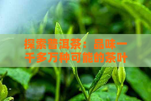 探索普洱茶：品味一千多万种可能的茶叶种类与独特风味