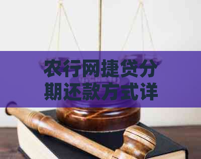 农行网捷贷分期还款方式详解，了解详情请点击！