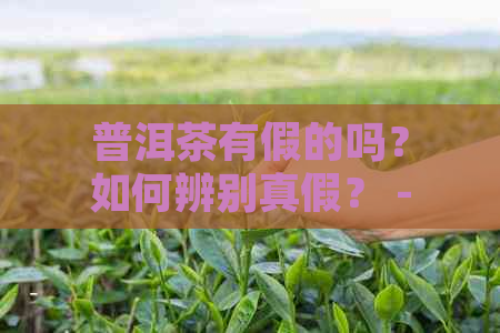 普洱茶有假的吗？如何辨别真假？ - 批多多上，能喝吗？