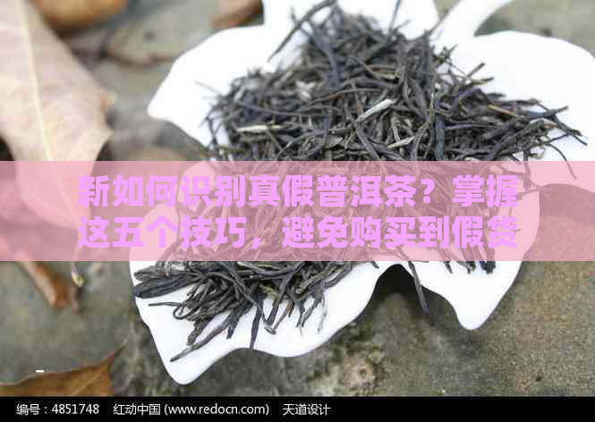 新如何识别真假普洱茶？掌握这五个技巧，避免购买到假货！