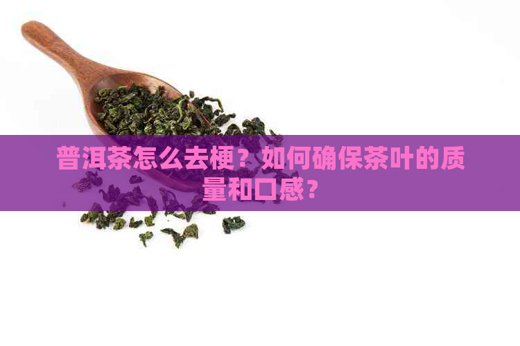 普洱茶怎么去梗？如何确保茶叶的质量和口感？