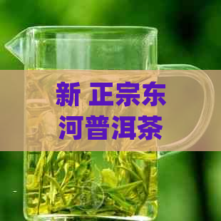 新 正宗东河普洱茶_官方网站_品质茶叶旗舰店_限时特