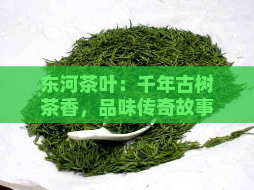 东河茶叶：千年古树茶香，品味传奇故事，尽享醇厚口感，感受茶文化魅力