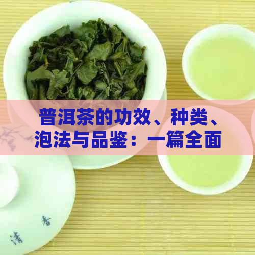 普洱茶的功效、种类、泡法与品鉴：一篇全面指南