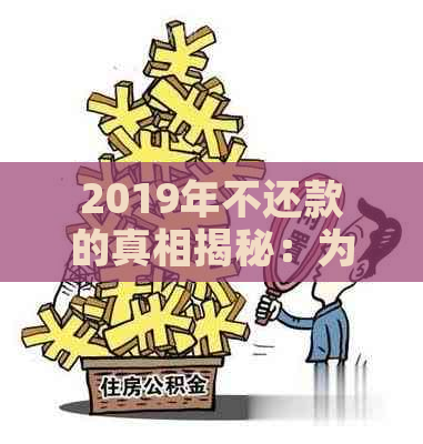 2019年不还款的真相揭秘：为何如此与众不同？