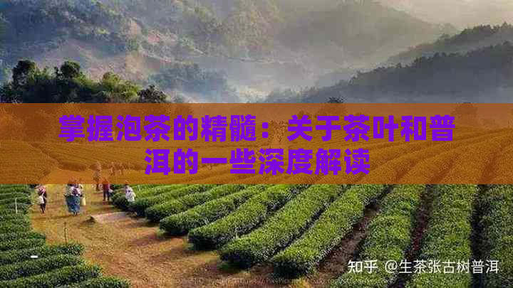 掌握泡茶的精髓：关于茶叶和普洱的一些深度解读