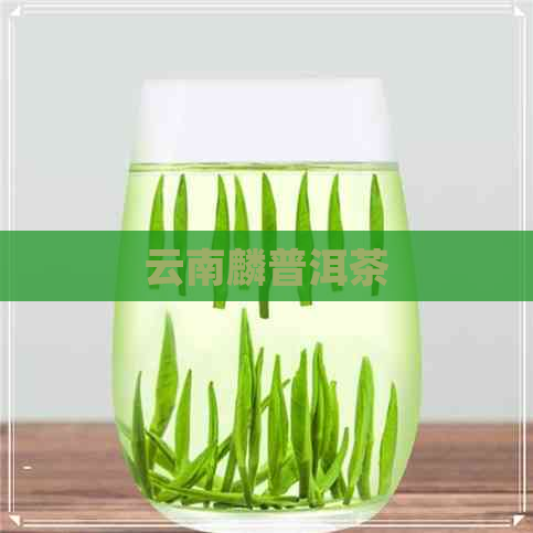 云南麟普洱茶