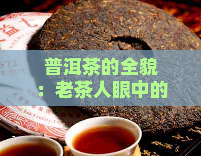 普洱茶的全貌：老茶人眼中的普洱茶是什么茶？