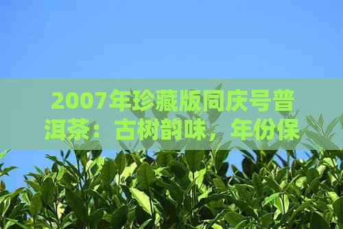 2007年珍藏版同庆号普洱茶：古树韵味，年份保证，品质越