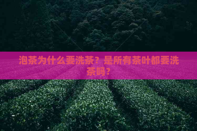 泡茶为什么要洗茶？是所有茶叶都要洗茶吗？