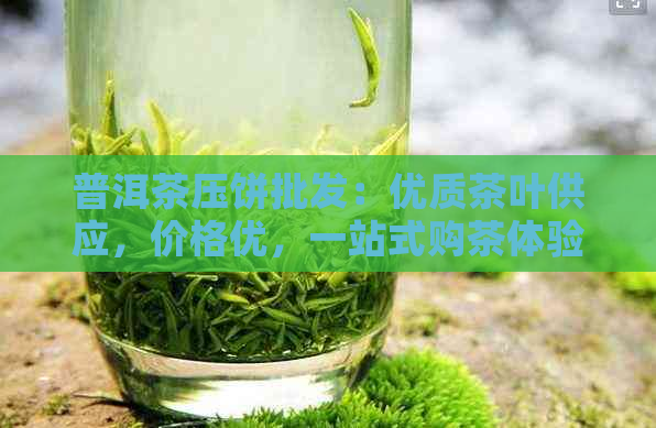 普洱茶压饼批发：优质茶叶供应，价格优，一站式购茶体验