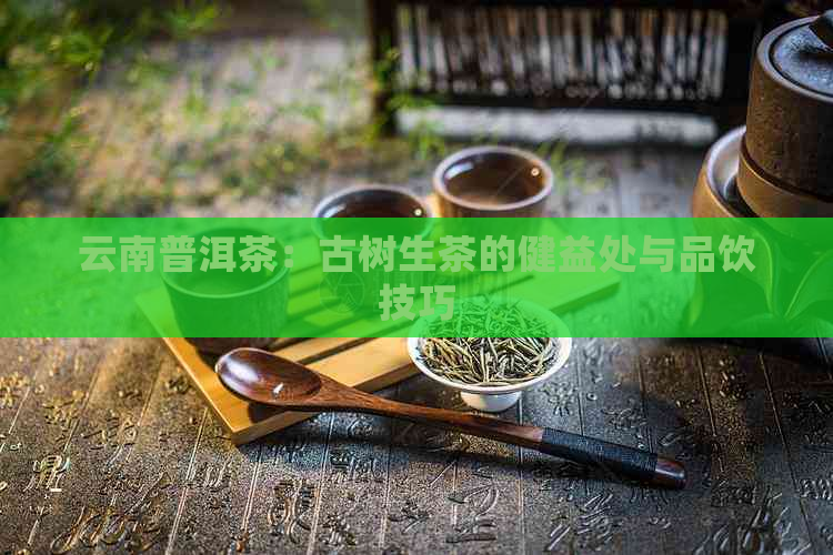 云南普洱茶：古树生茶的健益处与品饮技巧