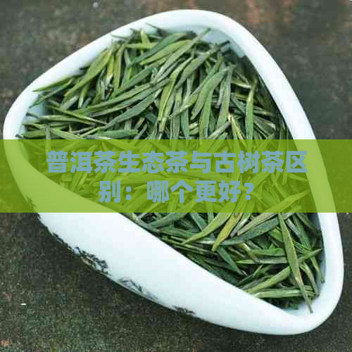 普洱茶生态茶与古树茶区别：哪个更好？