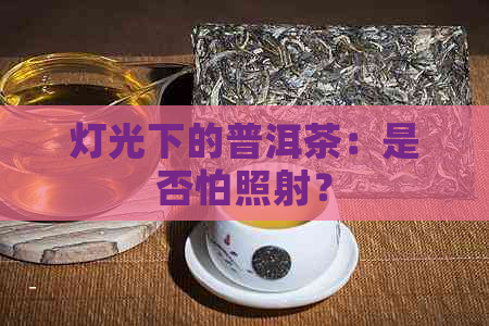 灯光下的普洱茶：是否怕照射？