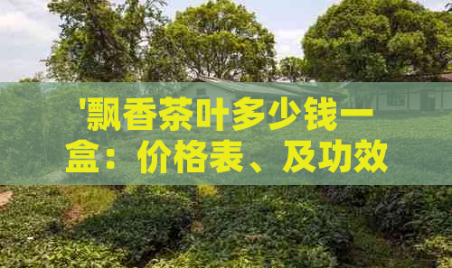 '飘香茶叶多少钱一盒：价格表、及功效解析'