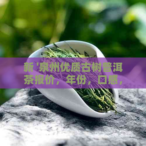 新 '泉州优质古树普洱茶报价，年份，口感，收藏价值分析'