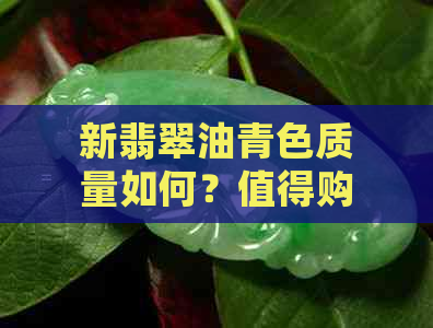 新翡翠油青色质量如何？值得购买吗？好看吗？