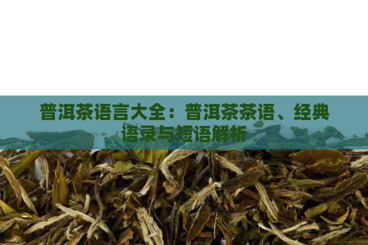 普洱茶语言大全：普洱茶茶语、经典语录与短语解析