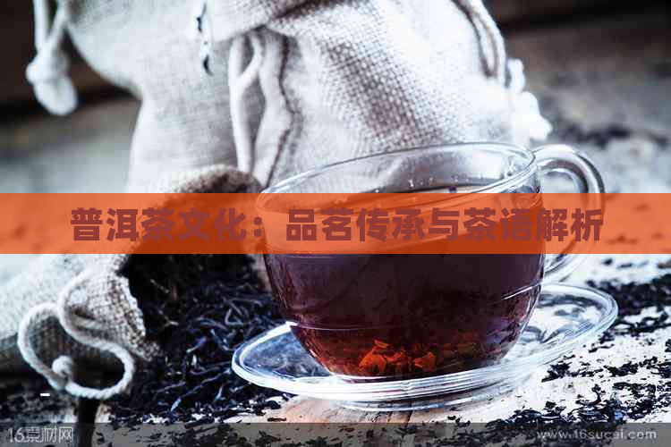 普洱茶文化：品茗传承与茶语解析