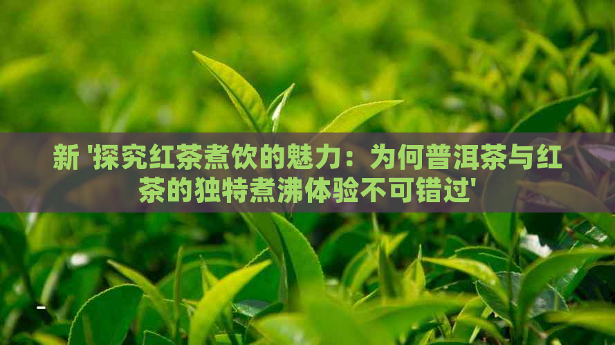 新 '探究红茶煮饮的魅力：为何普洱茶与红茶的独特煮沸体验不可错过'