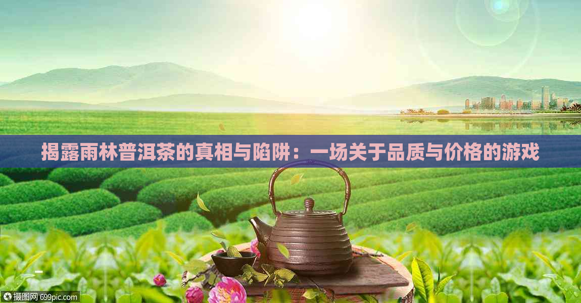 揭露雨林普洱茶的真相与陷阱：一场关于品质与价格的游戏