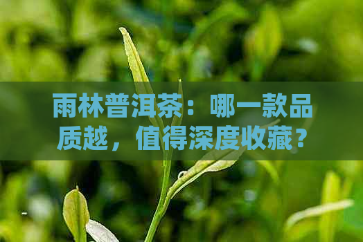 雨林普洱茶：哪一款品质越，值得深度收藏？