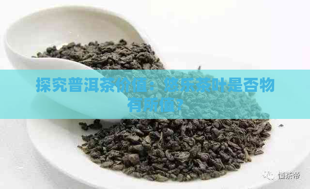 探究普洱茶价值：悠乐茶叶是否物有所值？