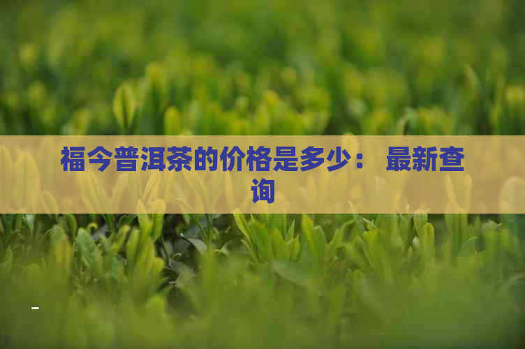 福今普洱茶的价格是多少： 最新查询